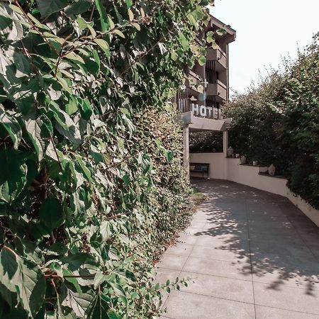 באמברג Hotel Altenburgblick מראה חיצוני תמונה